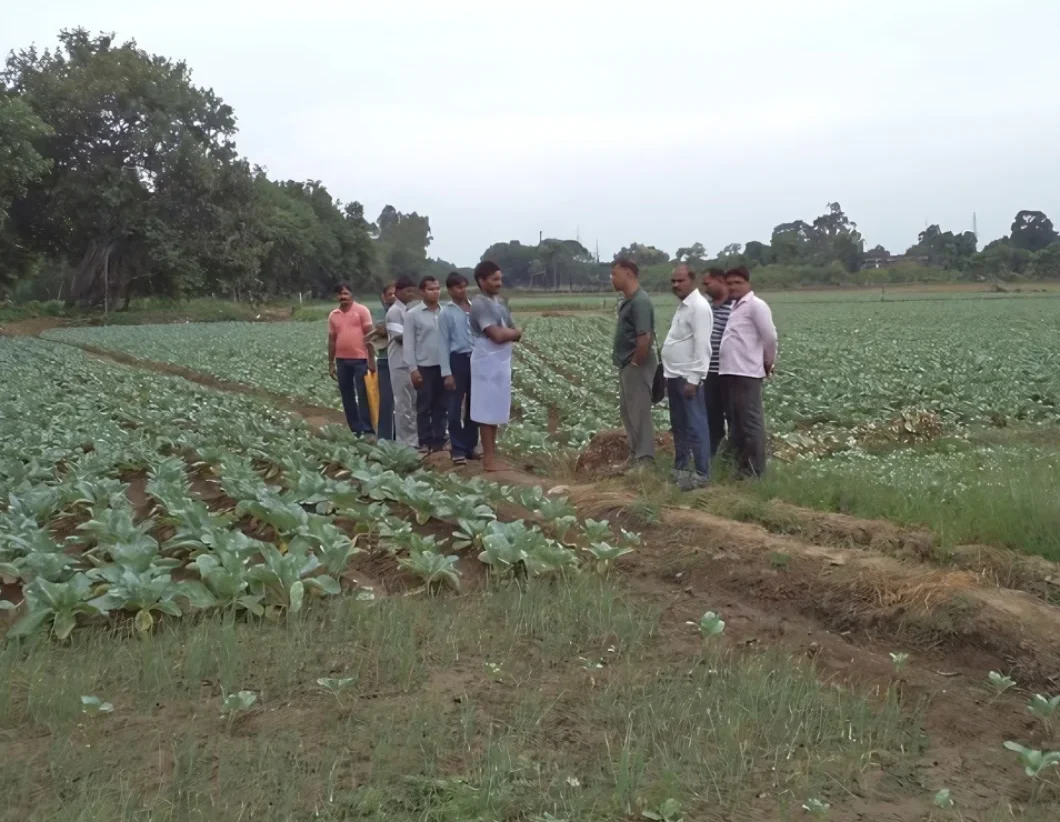 Sustainable farming practices using modern techniques