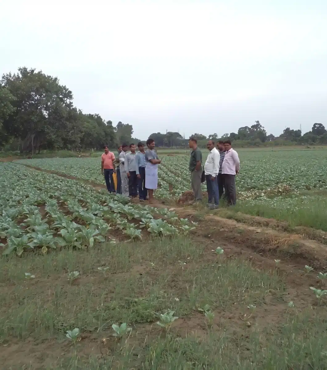 Sustainable farming practices using modern techniques