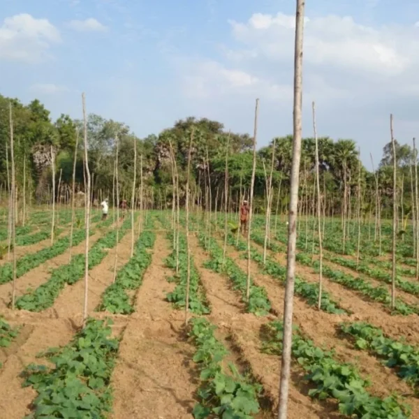 Manual composting