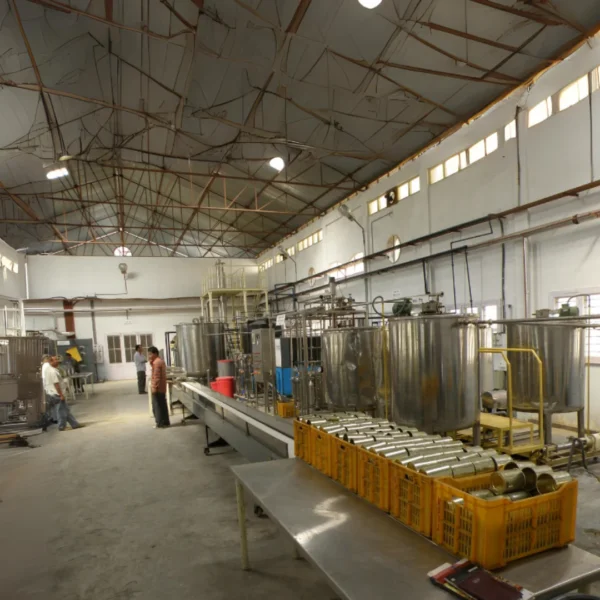 Mushroom processing