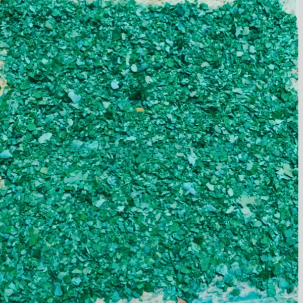 spirulina pond 3