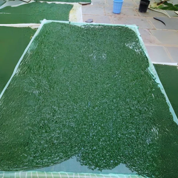 spirulina race way design