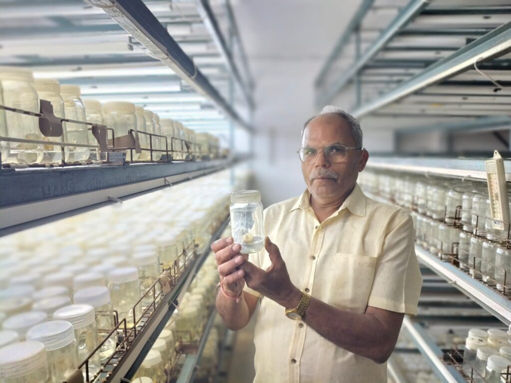 Modern plant tissue culture laboratory with sterile environment