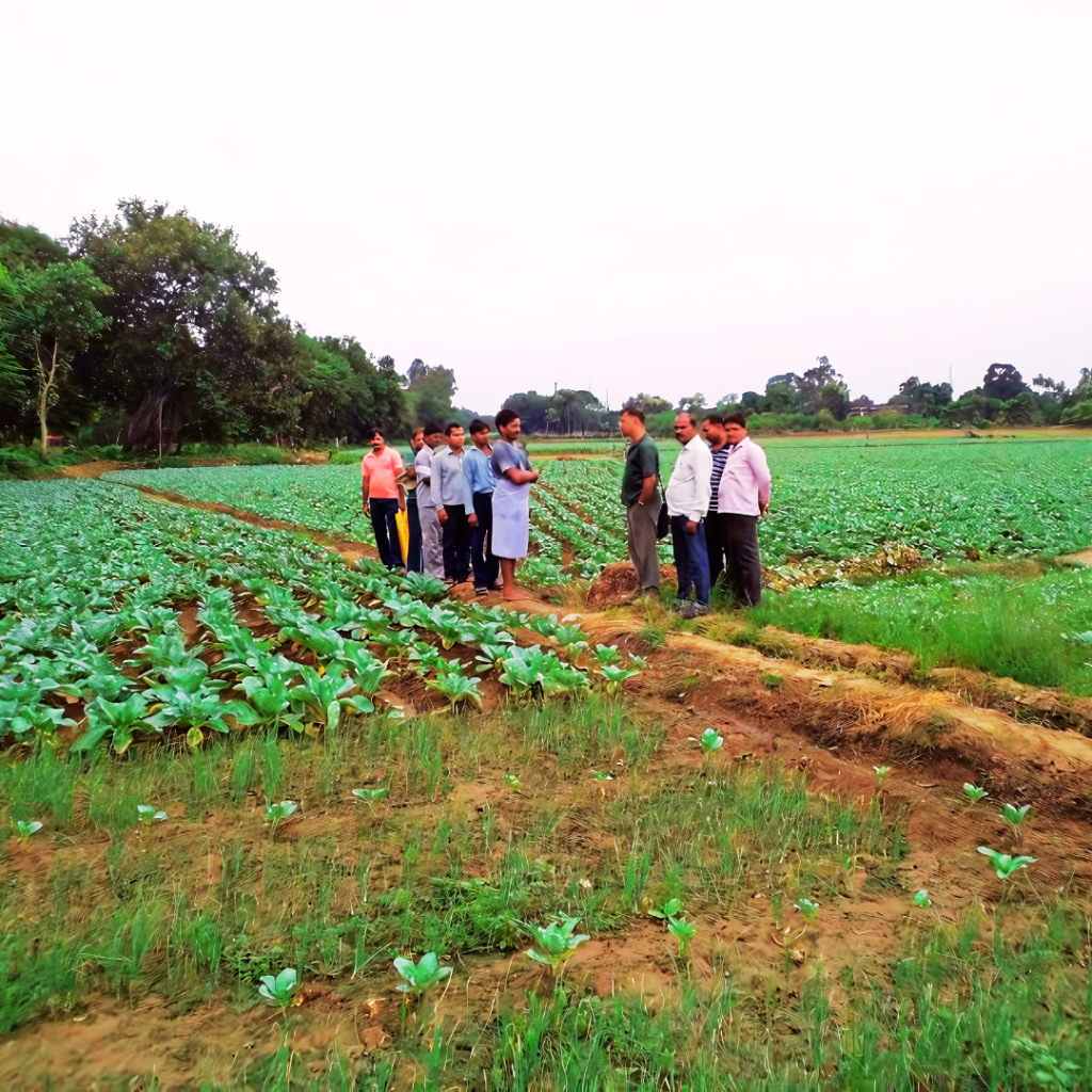 Sustainable agriculture, waste-to-wealth enterprises, rural entrepreneurship, biofertilizers, value addition, and circular agriculture solutions