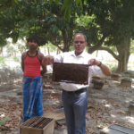 Projects, Training Programs & Technical Support Initiatives