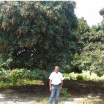 Agribusiness consultant discussing project development and investment opportunities