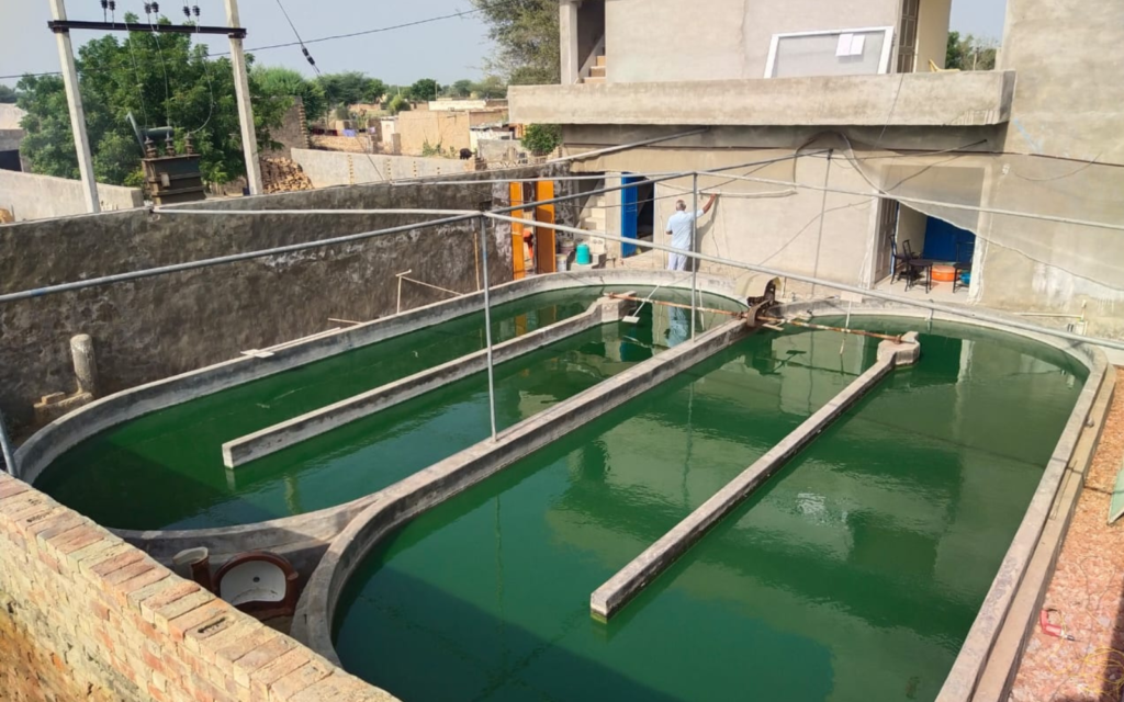 Spirulina cultivation and processing enterprise supporting FPOs, SHGs, women entrepreneurs, rural youth, nutrition programs, and sustainable livelihood generation