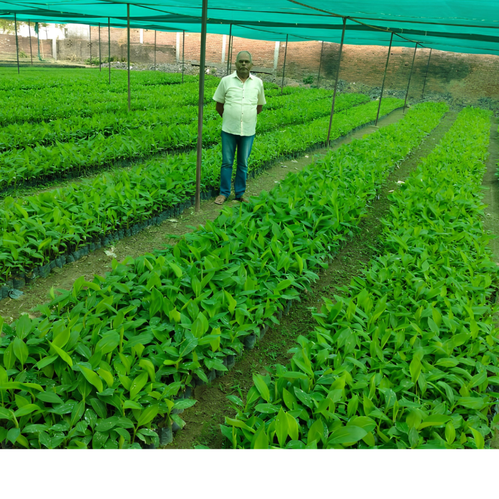 Plant tissue culture laboratory with culture bottles and biotechnology equipment