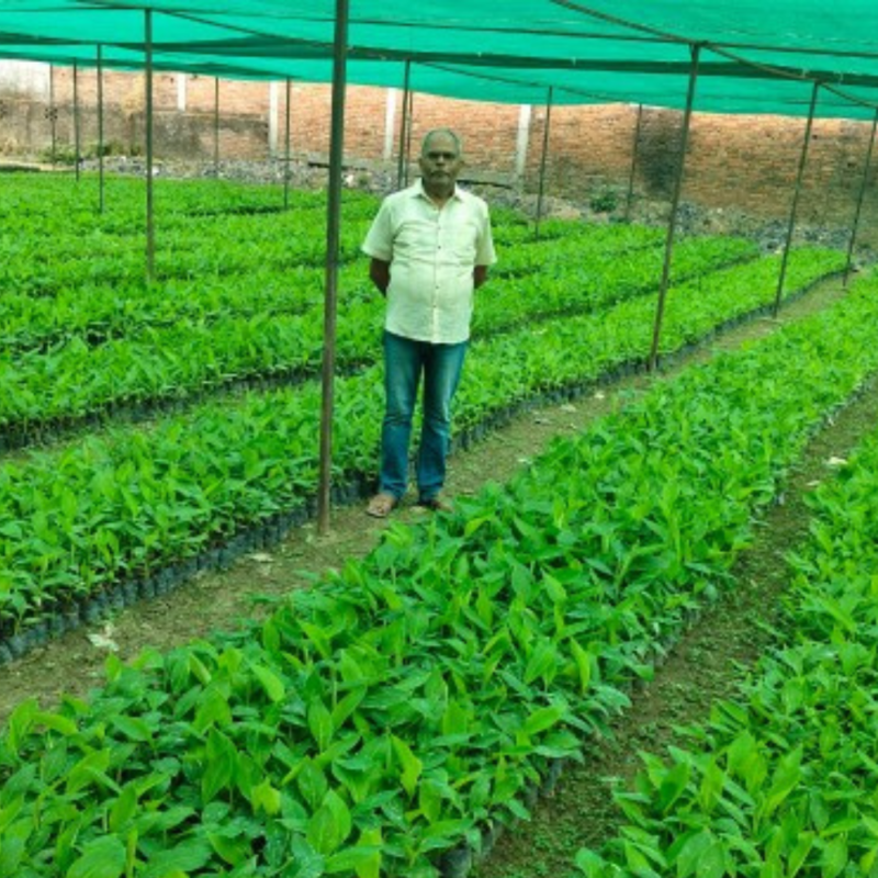 Modern plant tissue culture laboratory with plant propagation technology