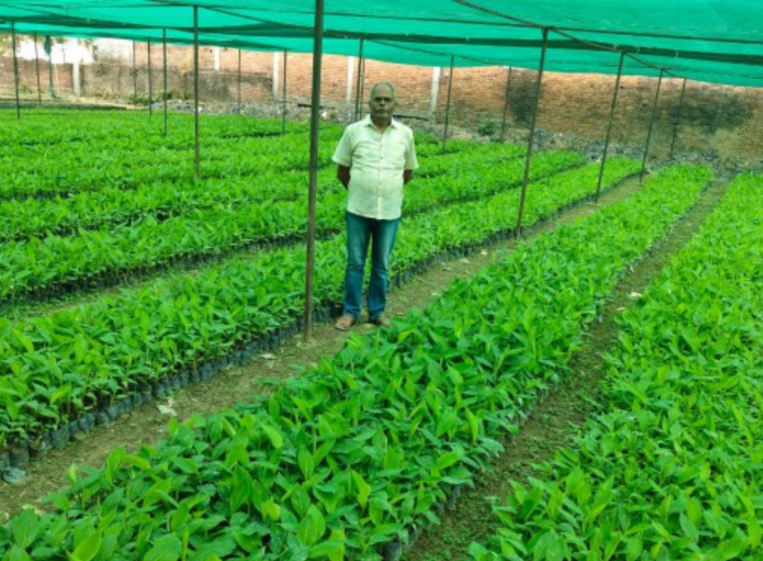 Modern plant tissue culture laboratory with plant propagation technology