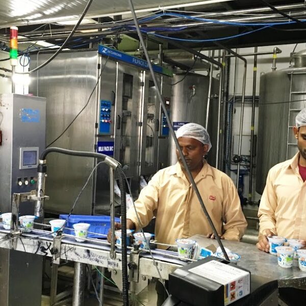 Food processing, value addition, packaging, branding, and agro-based enterprise development for entrepreneurs, FPOs, SHGs, and food businesses