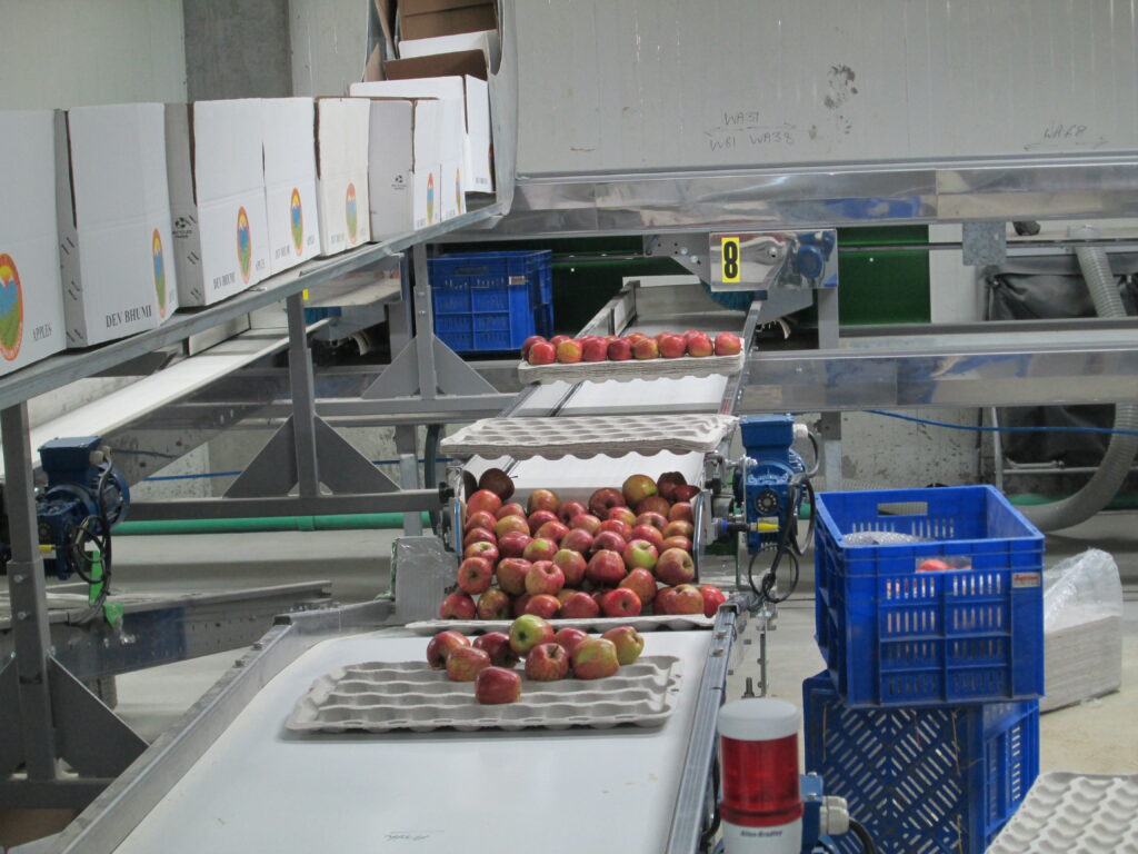 Food processing project opportunities including traditional foods, dairy products, bakery items, mushroom processing, fruit and vegetable processing, spices, functional foods, food carts, and export-oriented food enterprises