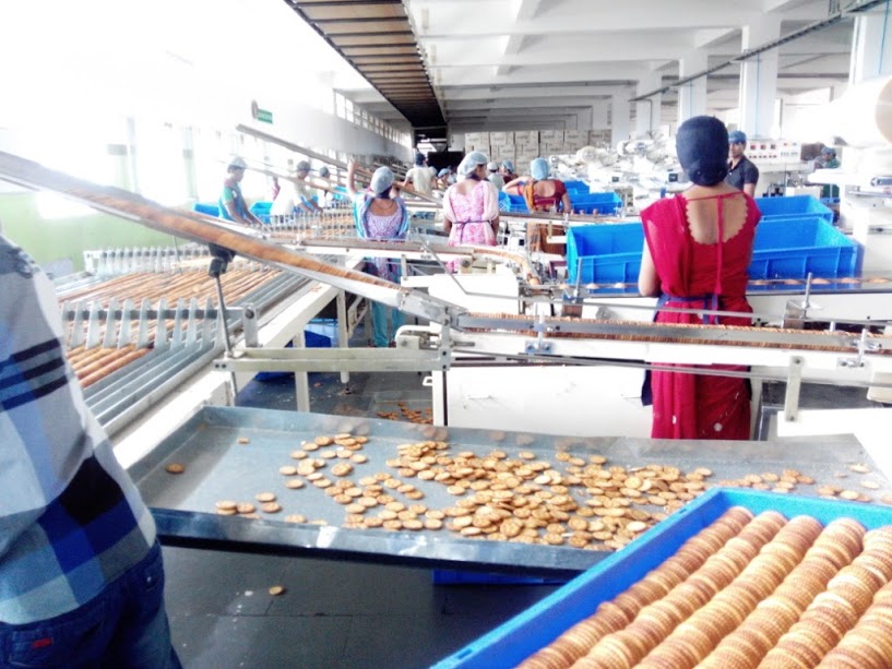 Food processing business opportunities including dairy processing, fruit and vegetable processing, bakery products, mushroom processing, spices, functional foods, food carts, and export-oriented food enterprises