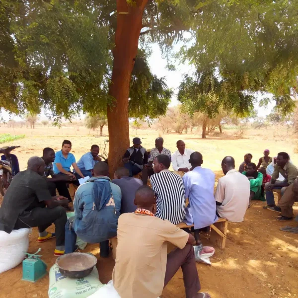 Cordycep mushroom training